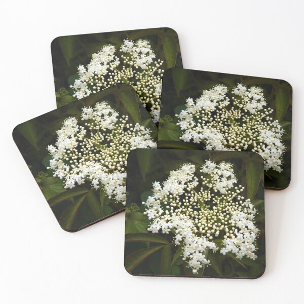 Item preview, Black Elderberry Flowers designed and sold by gistinker.