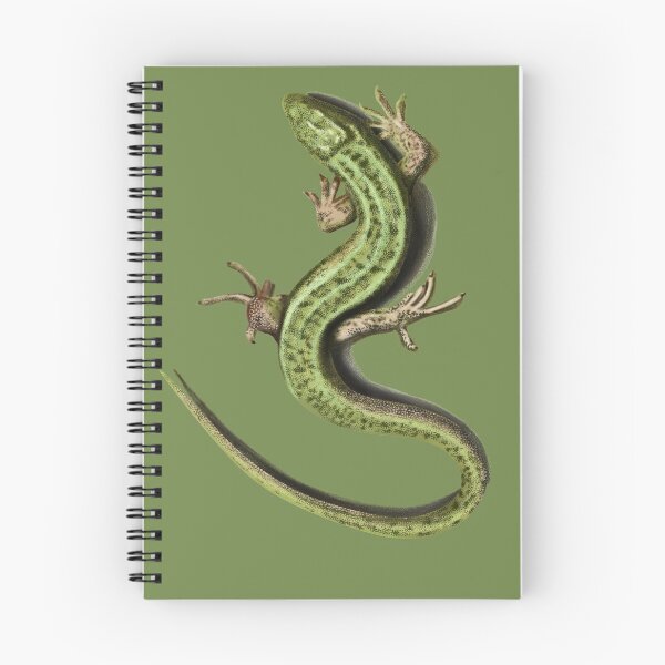 Item preview, lizard designed and sold by sibosssr.