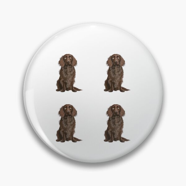 Item preview, Perros de aguas boykin designed and sold by TheAnimalZ00.