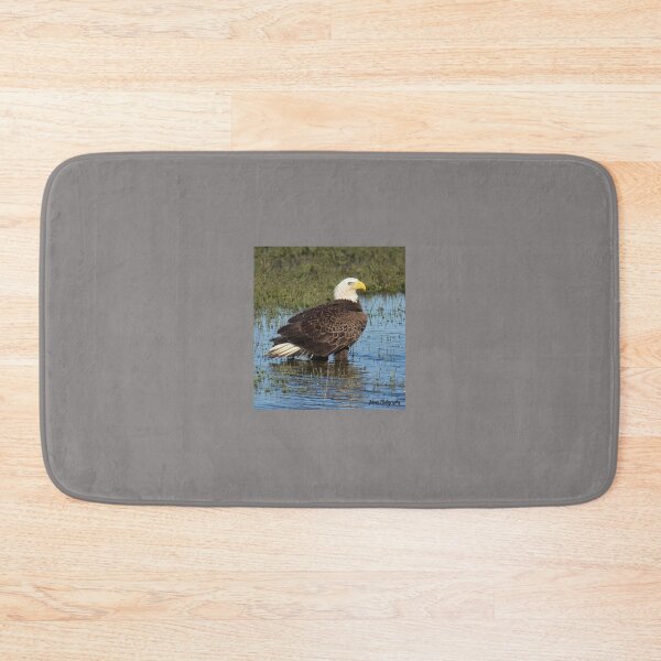 Item preview, Bald Eagle in a Marsh designed and sold by John  Cone.