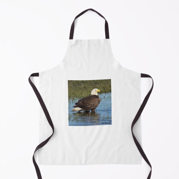 Item preview, Bald Eagle in a Marsh designed and sold by John Cone.