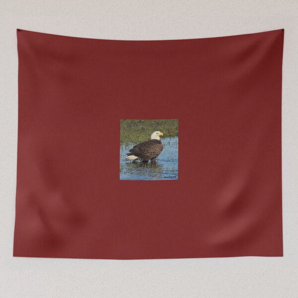 Item preview, Bald Eagle in a Marsh designed and sold by John  Cone.