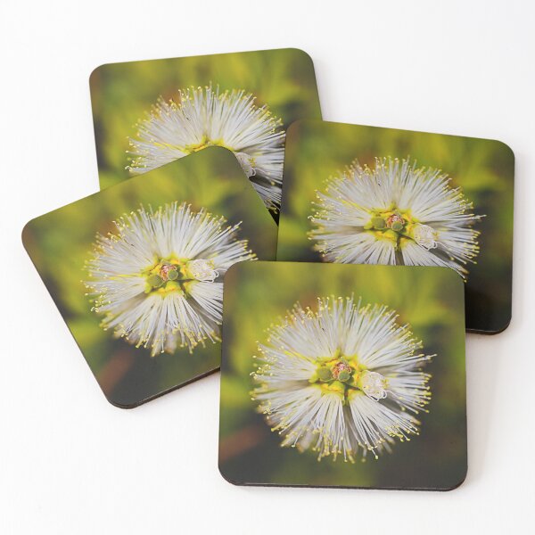 Item preview, White Bottlebrush Face Australian designed and sold by Joy Watson - Natural Light Photography .