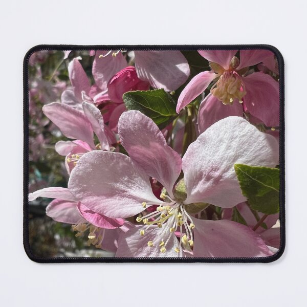 Item preview, Lots of Apple Blossoms designed and sold by Betsy Phillips.