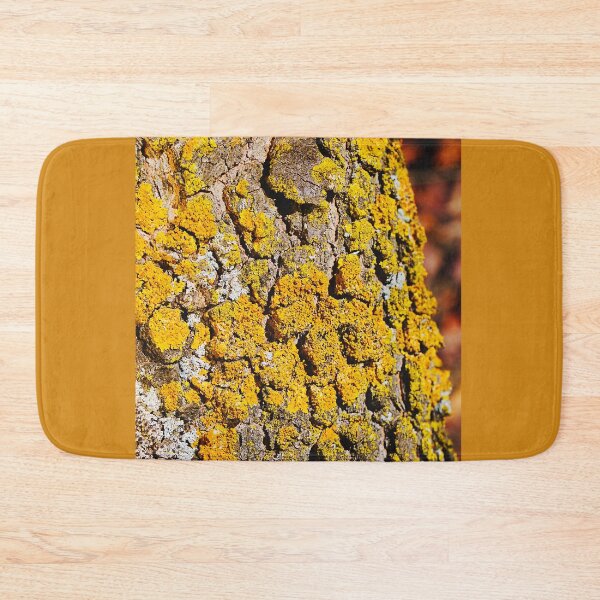 Item preview, Yellow Lichen On A Large Tree designed and sold by Joy Watson - Natural Light Photography .