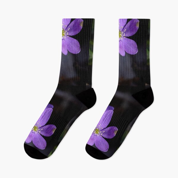 Item preview, Pretty in purple. Common hepatica designed and sold by Jouko Lehto Photography.
