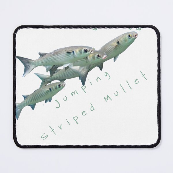 Item preview, The gravity defying, jumping striped mullet of crystal river, Florida designed and sold by TheBruce77.