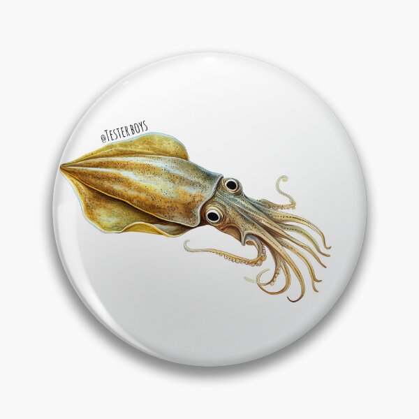Item preview, Southern Calamari designed and sold by TesterBoys.