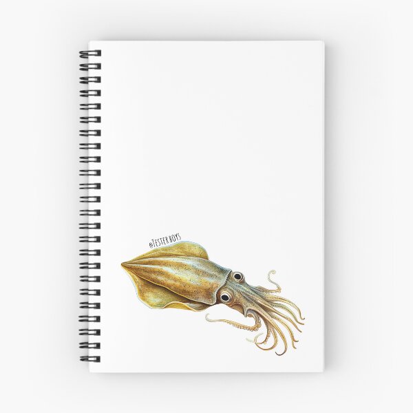 Item preview, Southern Calamari designed and sold by TesterBoys.