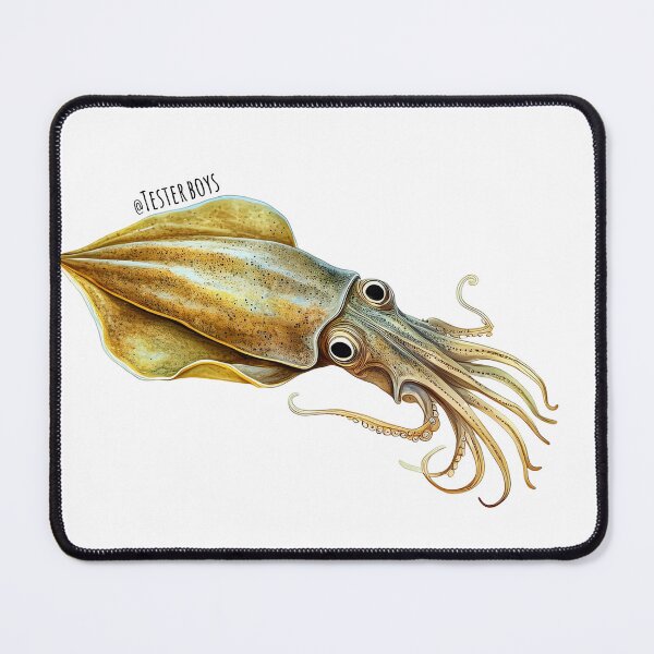 Item preview, Southern Calamari designed and sold by TesterBoys.