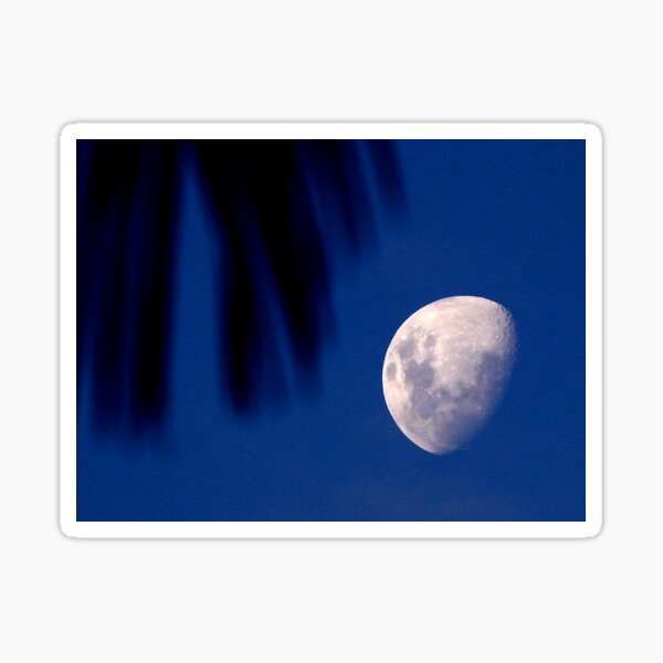 Item preview, Palm-Leave & Half-Moon designed and sold by AussieAl.