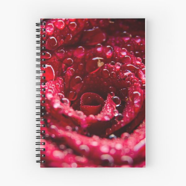 Aperçu de l'œuvre Rose créée et vendue par Maridac.