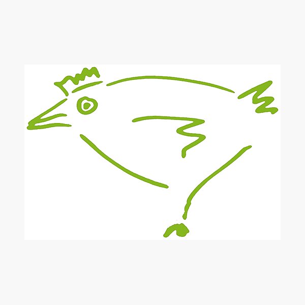 The Secret Chicken Photographic Print
