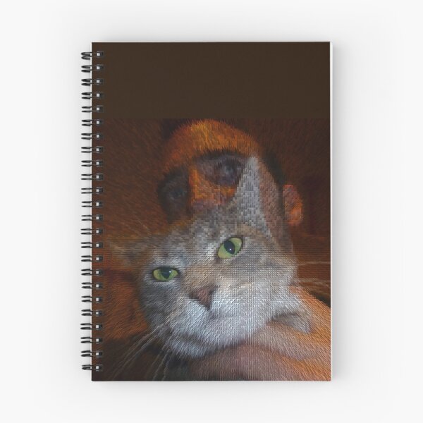 Item preview, Quadriptych photograph of man with cat Pop art designed and sold by Carré Comme Orange.