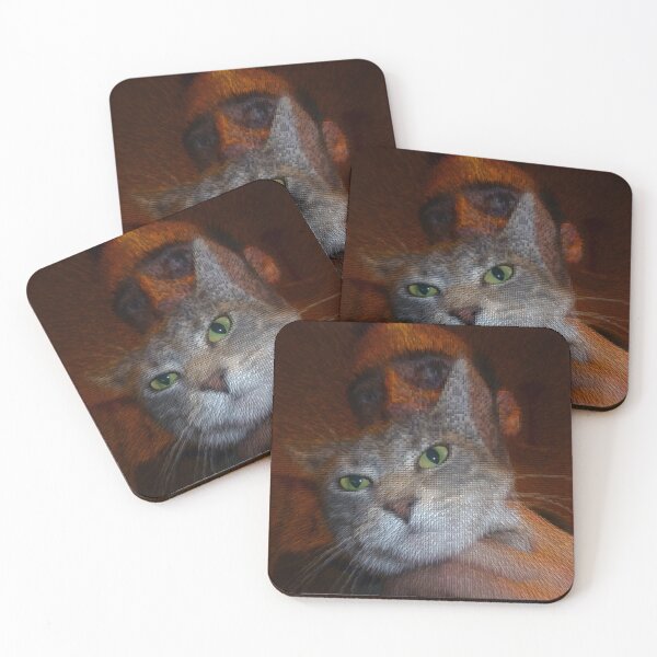 Item preview, Quadriptych photograph of man with cat Pop art designed and sold by Carré Comme Orange.