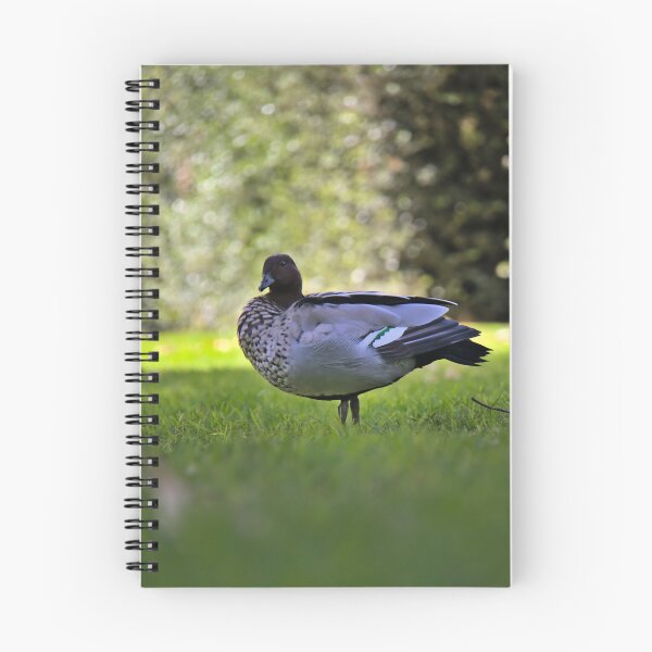 Item preview, A Curious Look designed and sold by Cissa King Photography.
