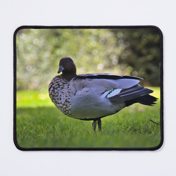 Item preview, A Curious Look designed and sold by Cissa King Photography.