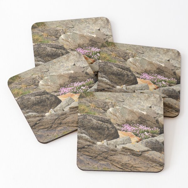 Item preview, Among The Rocks Beach Blooms Rathmullan designed and sold by eddiebarronshop.