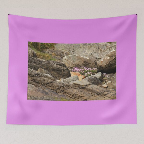 Item preview, Among The Rocks Beach Blooms Rathmullan designed and sold by eddiebarronshop.