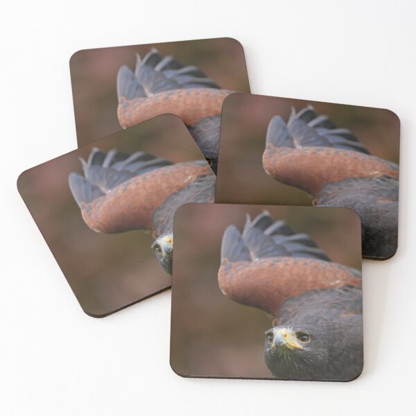 Item preview, Harris's Hawk designed and sold by Portegiesje.