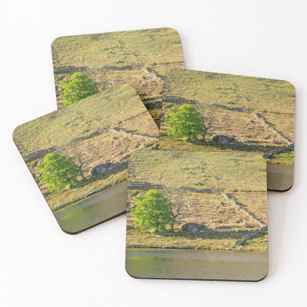 Item preview, Llyn y Dywarchen Eryri National Park, Wales. designed and sold by RobThorley.