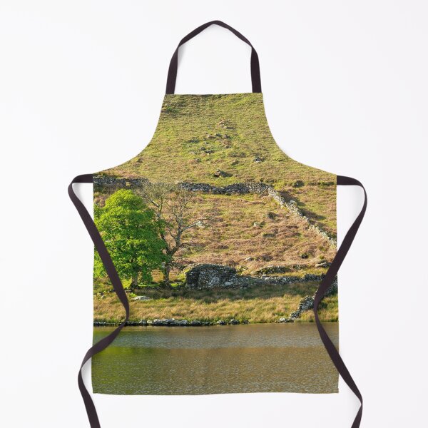Item preview, Llyn y Dywarchen Eryri National Park, Wales. designed and sold by RobThorley.