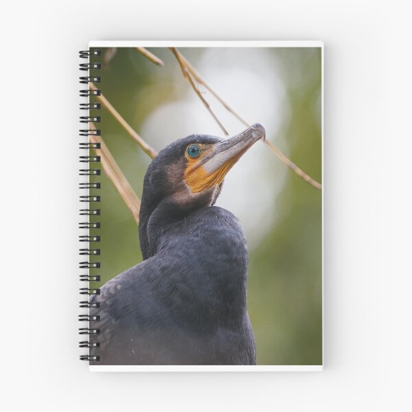 Item preview, Cormorant designed and sold by Portegiesje.