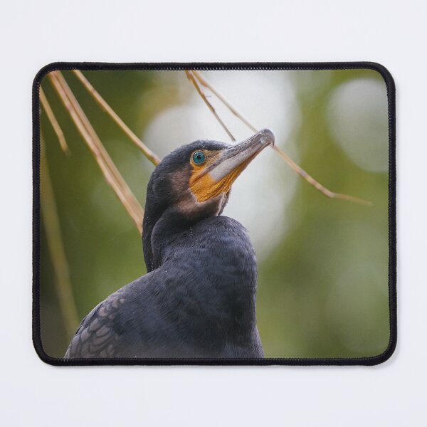 Item preview, Cormorant designed and sold by Portegiesje.