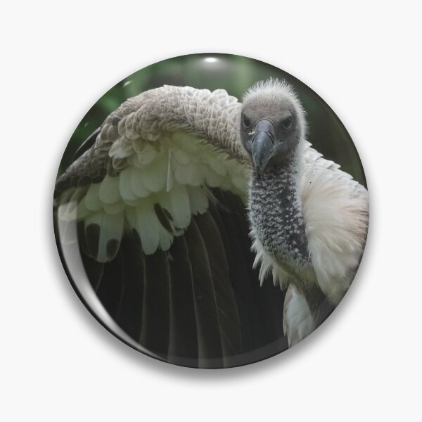 Item preview, White-Backed Vulture designed and sold by Portegiesje.