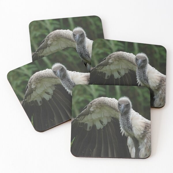 Item preview, White-Backed Vulture designed and sold by Portegiesje.