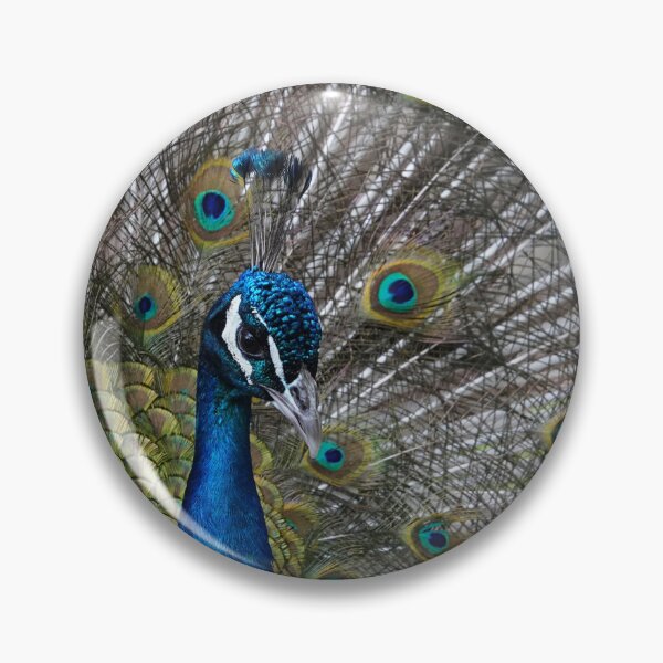Item preview, Blue Peacock designed and sold by Portegiesje.