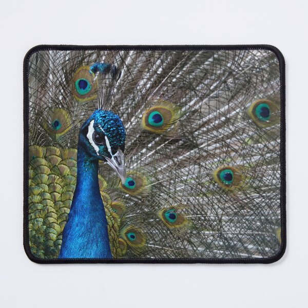 Item preview, Blue Peacock designed and sold by Portegiesje.