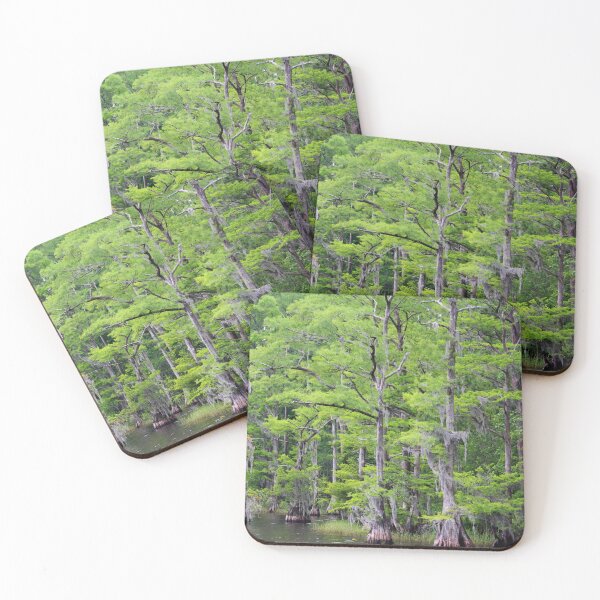 Item preview, Southern Swamp Trees designed and sold by Cynthia48.