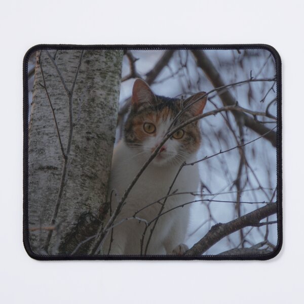 Item preview, Sneaking in the Trees designed and sold by TheeForestFox Shop.