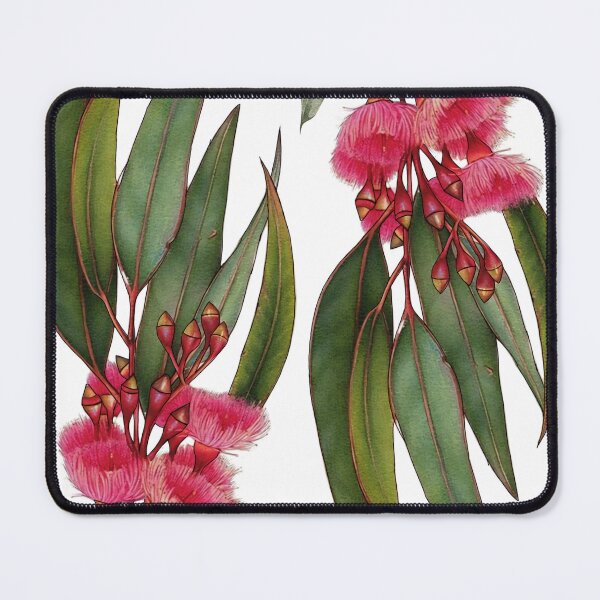 Item preview, Flowering Gum Pink Australian native Eucalyptus Leaves tree branch watercolor  designed and sold by Taylor  ART.