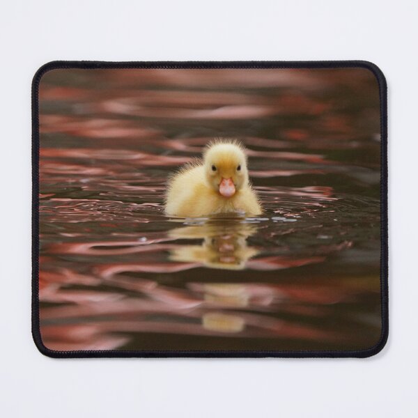 Item preview, Yellowl Duckling designed and sold by Portegiesje.