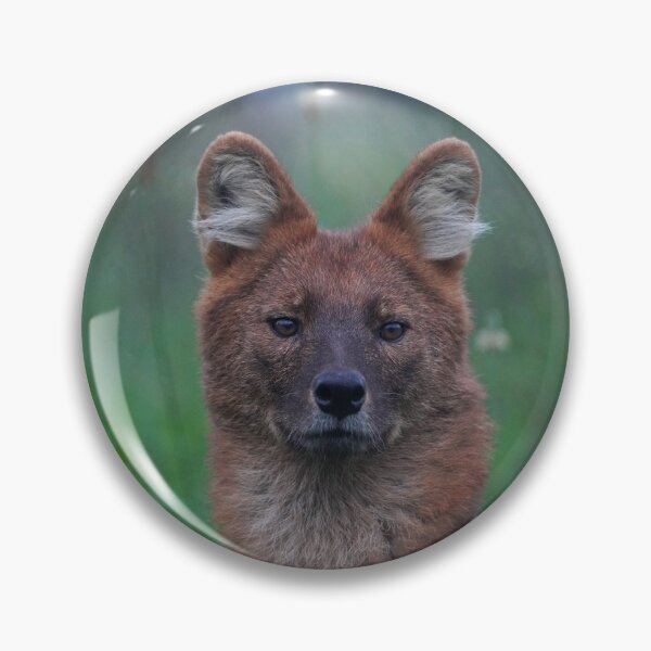 Artikelvorschau, Dhole entworfen und verkauft von Portegiesje.