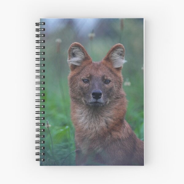 Item preview, Dhole designed and sold by Portegiesje.