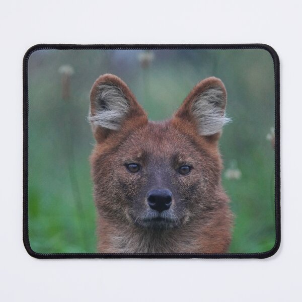 Item preview, Dhole designed and sold by Portegiesje.