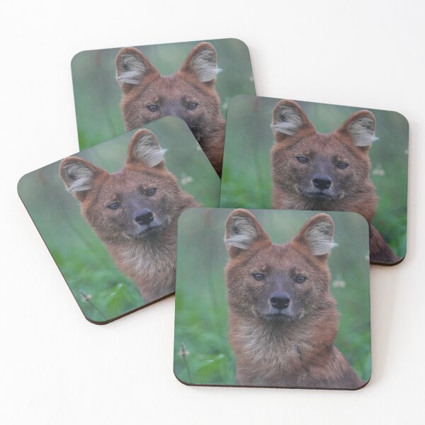 Item preview, Dhole designed and sold by Portegiesje.