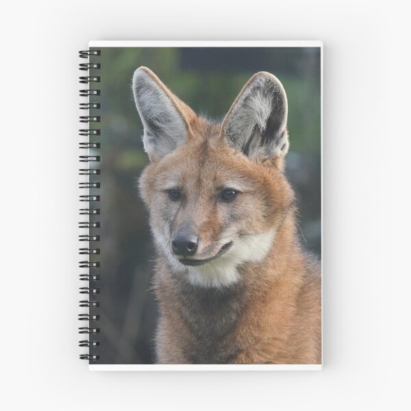 Item preview, Maned Wolf designed and sold by Portegiesje.