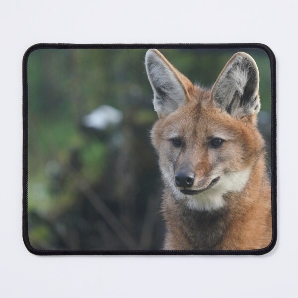 Item preview, Maned Wolf designed and sold by Portegiesje.