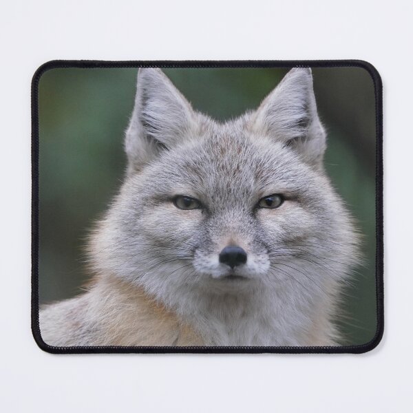 Item preview, Corsac Fox designed and sold by Portegiesje.