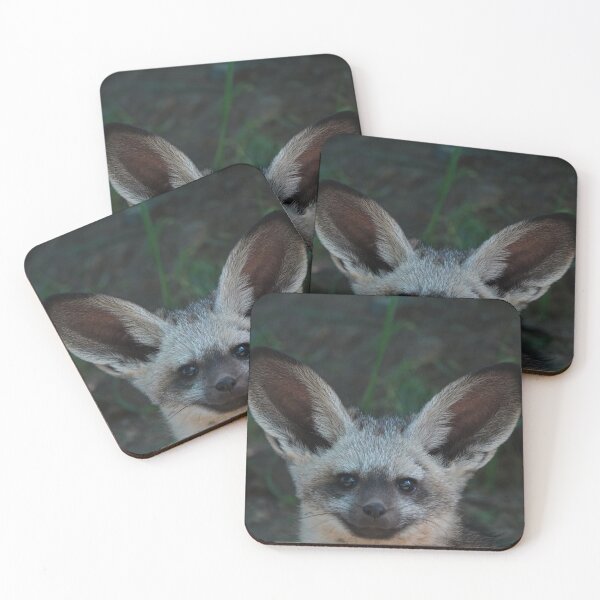 Item preview, Bat-Eared Fox pup designed and sold by Portegiesje.