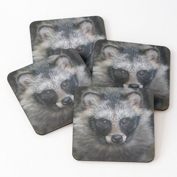 Item preview, Raccoon Dog designed and sold by Portegiesje.
