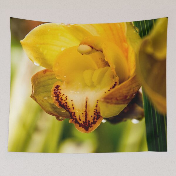 Artikelvorschau, Orchidee ich entworfen und verkauft von TessAndre.