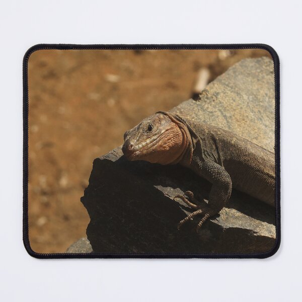 Item preview, Giant Lizard Saying Hallo designed and sold by KaSaPo.