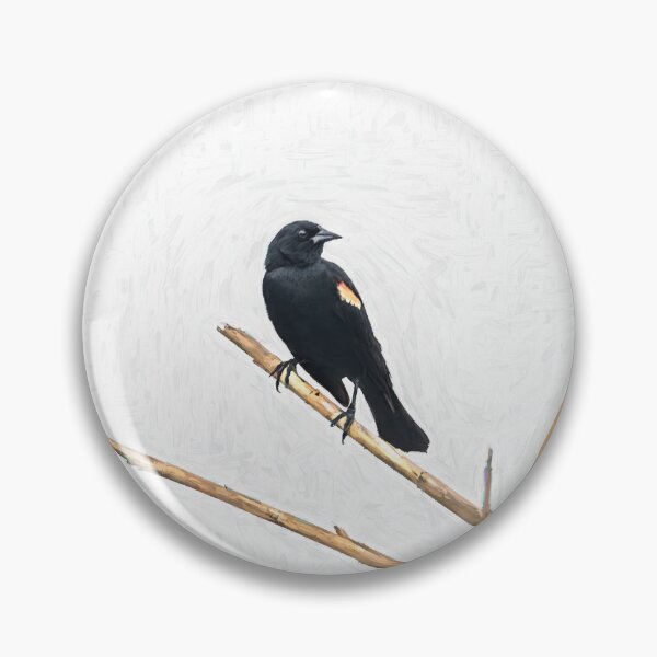 Artikelvorschau, Amsel im Winterschilf entworfen und verkauft von Debra Martz.