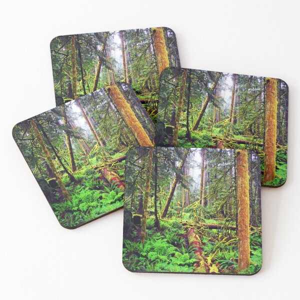 Item preview, Carmanah Valley Ancient Rainforest Vancouver Island Canada designed and sold by AndyEvansPhotos.
