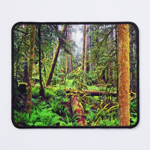 Item preview, Carmanah Valley Ancient Rainforest Vancouver Island Canada designed and sold by AndyEvansPhotos.